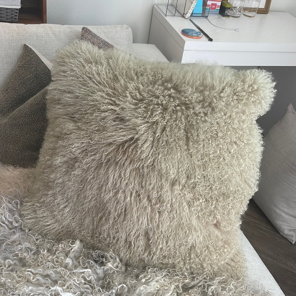 West Elm Throw Pillow